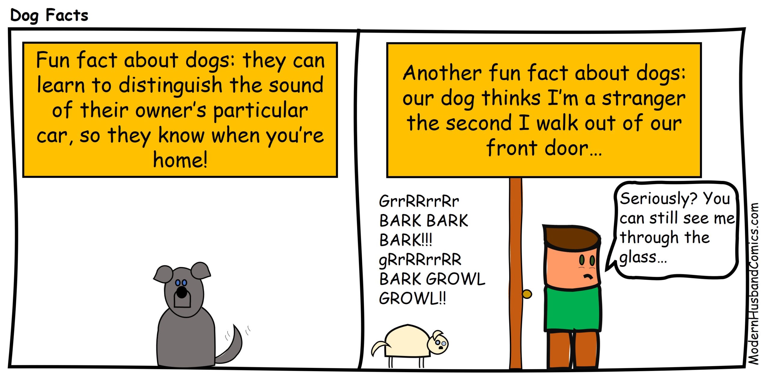 Dog Facts